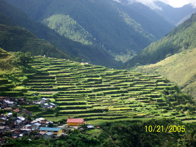 Banaue Rice Terraces - Philippines 2005